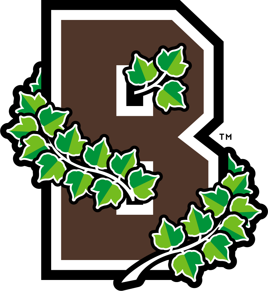 Brown Bears 2013-2018 Secondary Logo DIY iron on transfer (heat transfer)